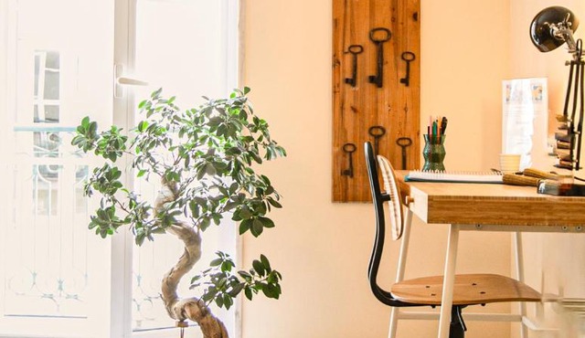 The Bonsai Apartment - Glamorous Chiado