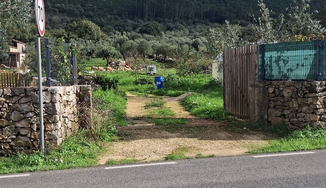 Ti Zaquiel Farm