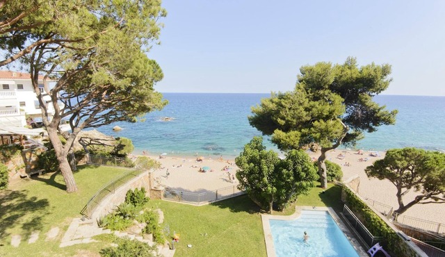 Unique Villa in front of the beach and surrounded by mediterranean trees