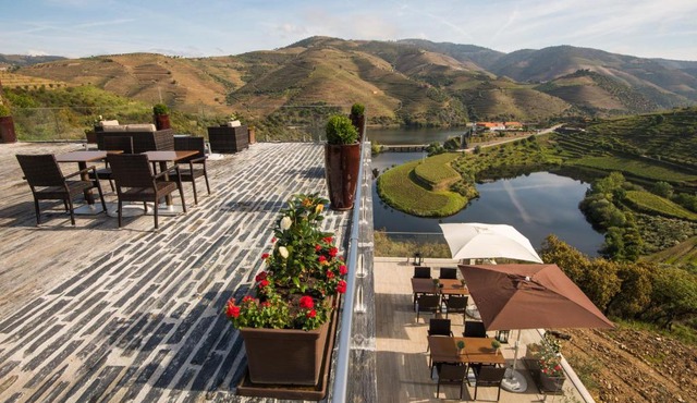 Vila Gale Douro Vineyards