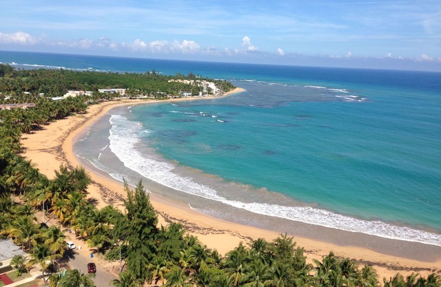 The Beach 