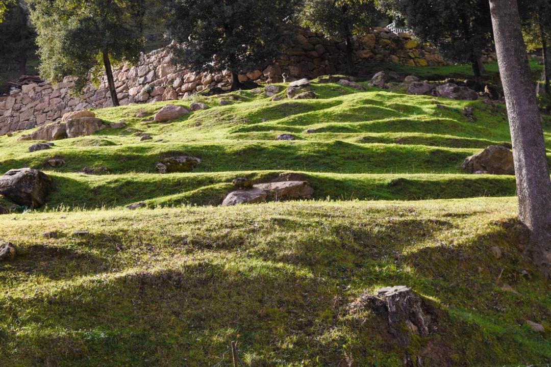 La Vall d'en Bas House | La Cabanya de la Rovira - Dalt