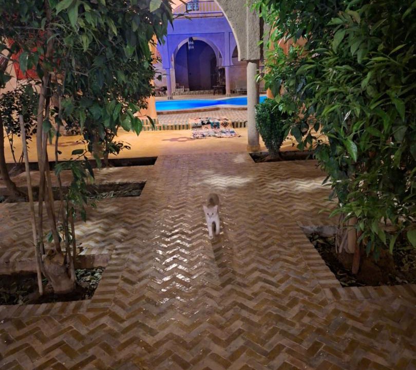 Hassilabied Bed & Breakfast | Maison Merzouga Guest House