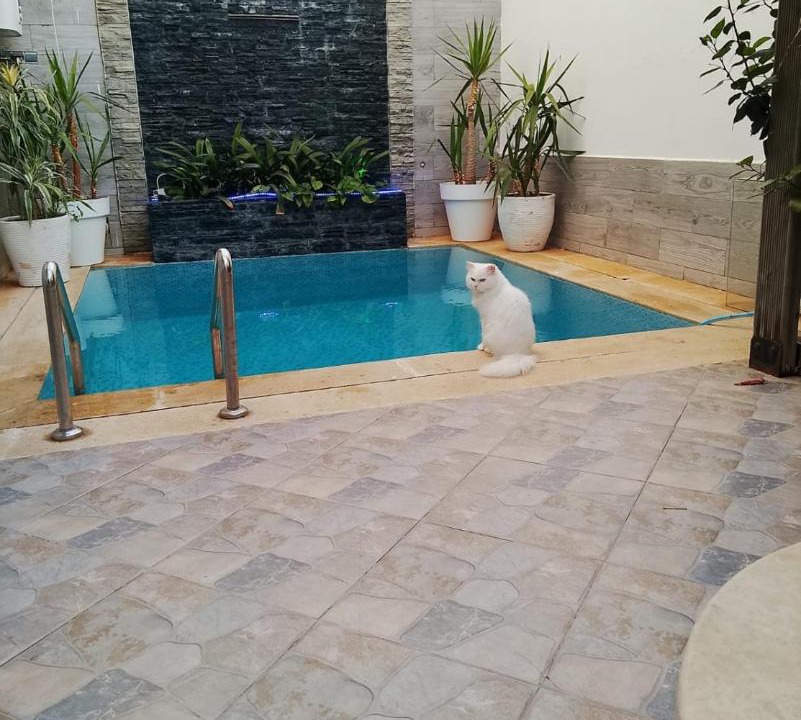 Khemisset Apartment | Villa Harmonie - Suite Familiale avec Piscine
