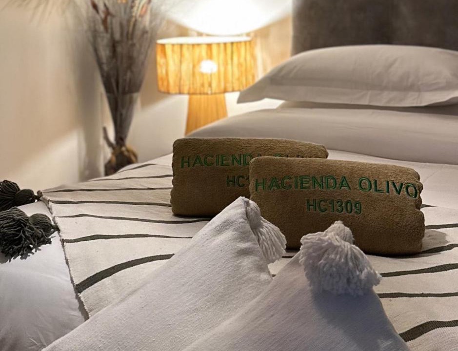 Dar Oum Soltane Hotel | Hacienda Olivo