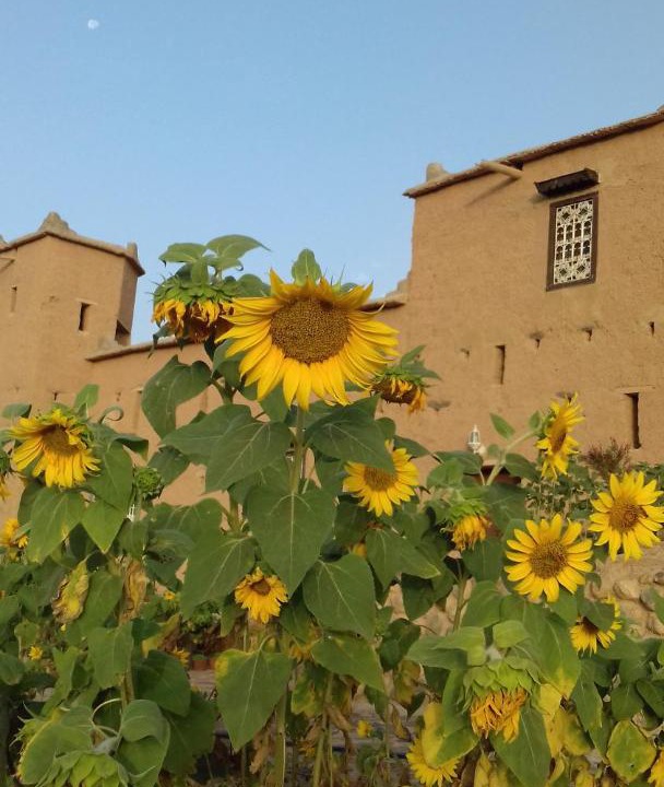 Ait Izdeg House | Kasbah Izoran
