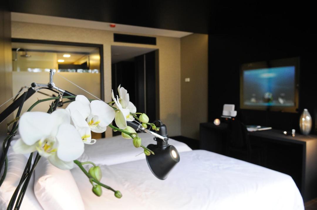 Belverde Hotel | Evidencia Belverde Hotel