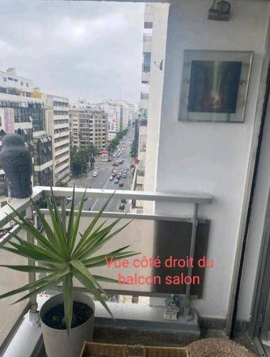 Photo of Others in SOUR JDID