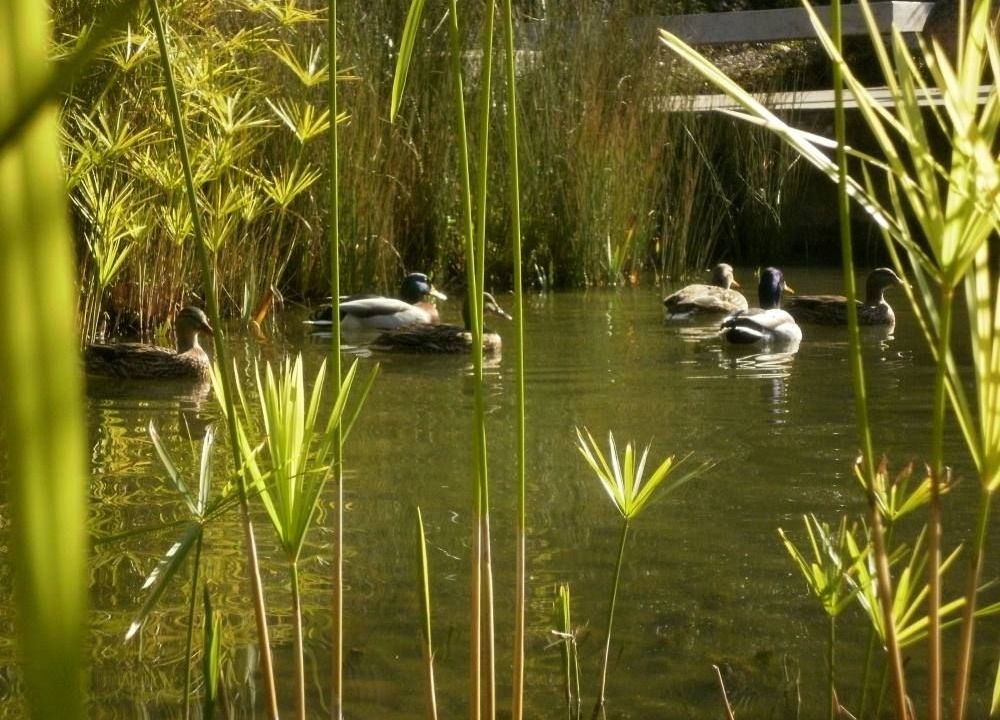 Photo of Others in Casal da Ladeira