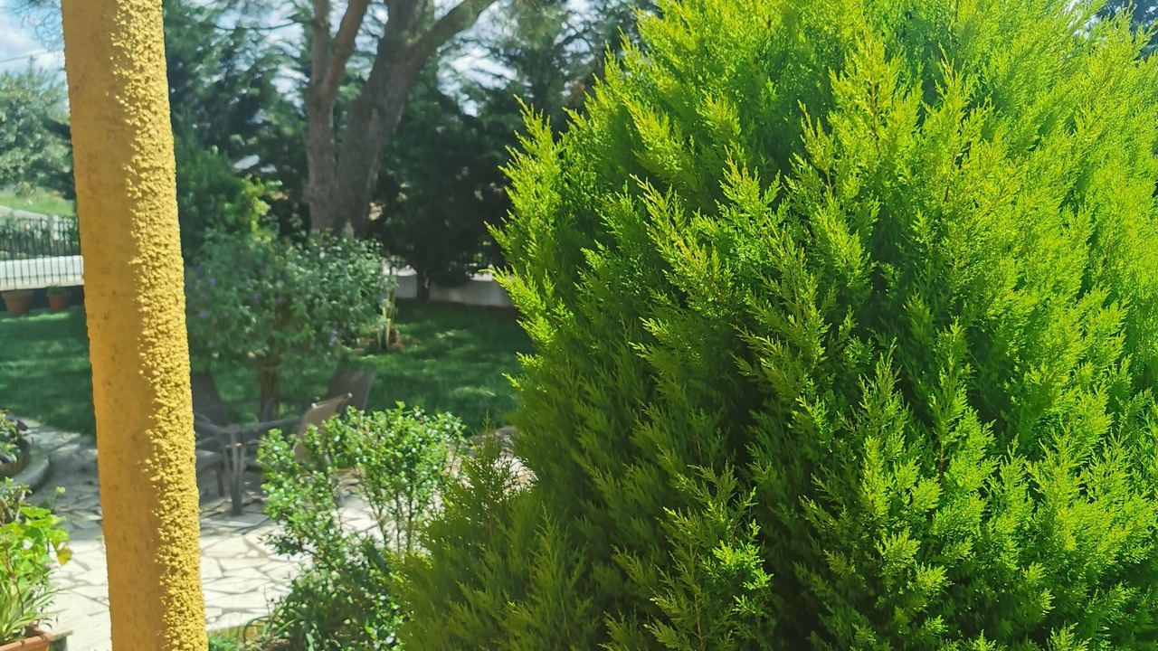 Photo of Outdoor in Golega