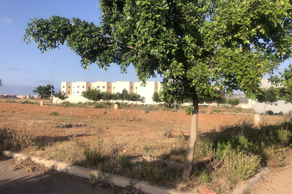 Photo of Outdoor in Saidia