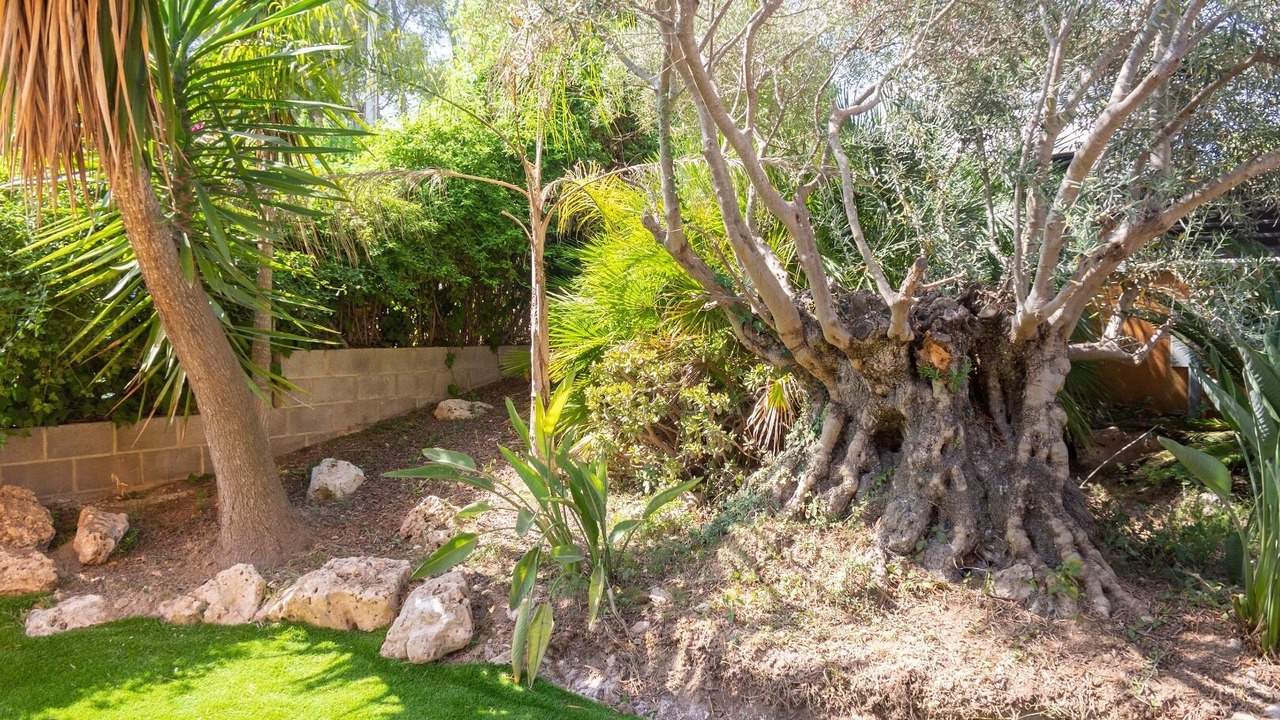 Photo of Outdoor in Cunit