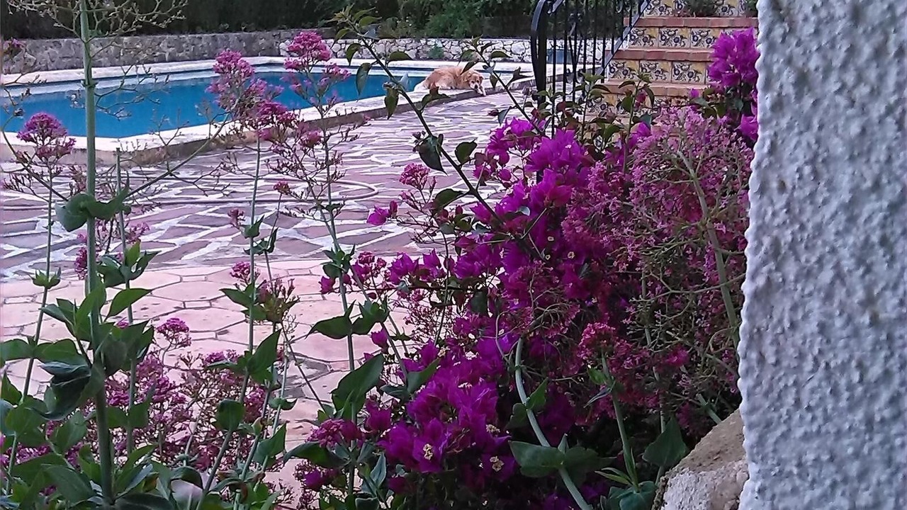 Photo of Outdoor in Montgo de Toscamar
