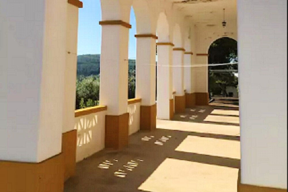 Photo of Others in Praia do Ribatejo