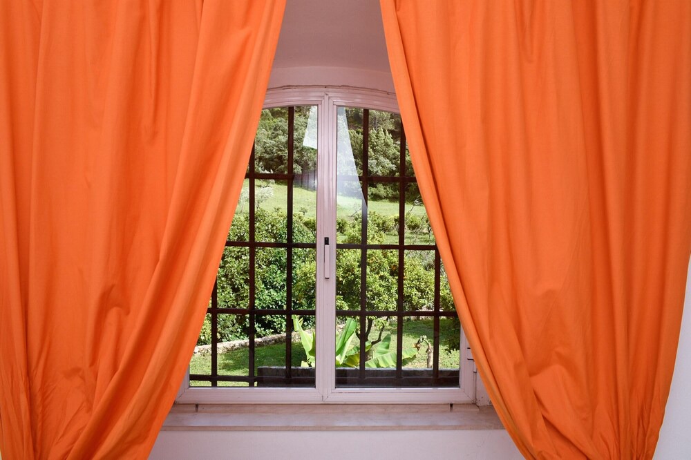 Photo of Outdoor in Sao Joao Batista