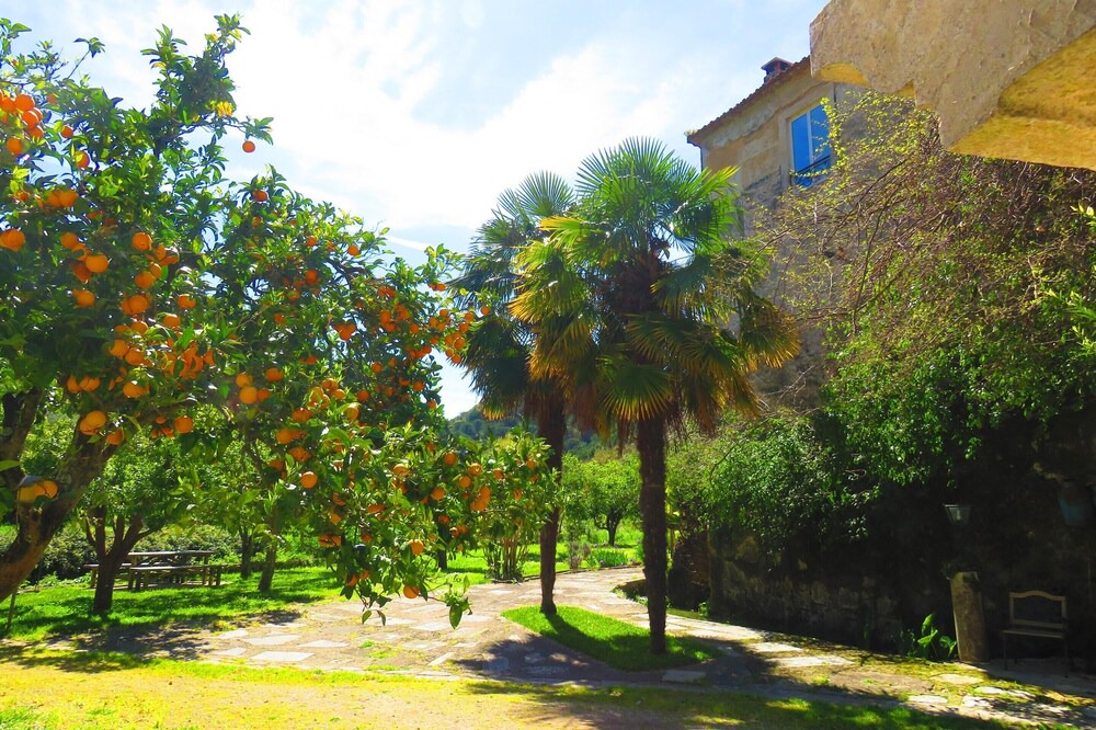 Photo of Outdoor in Sao Joao Batista