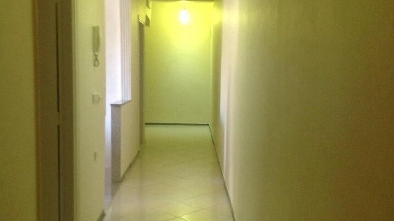Photo of Others in Belvedere