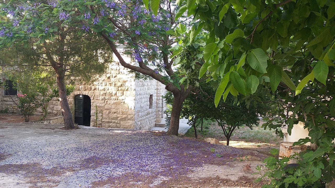 Photo of Outdoor in Kfoun