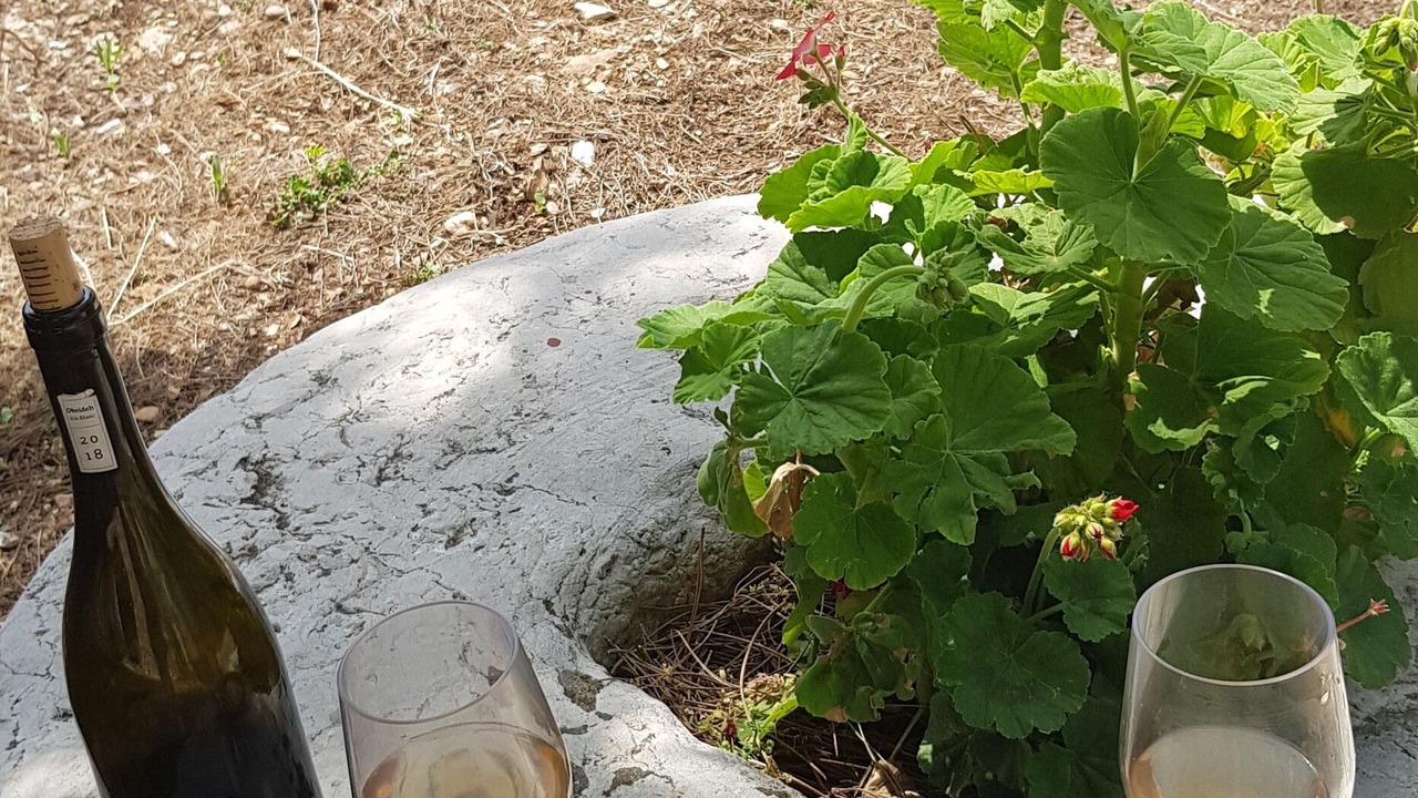 Photo of Outdoor in Kfoun
