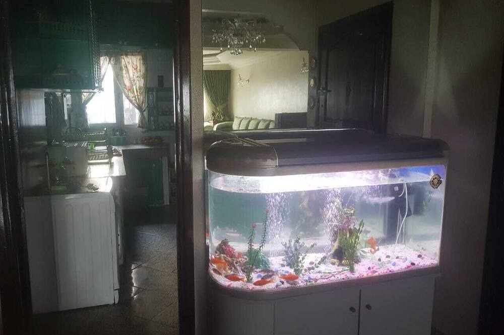 Photo of Bedroom in SOUR JDID