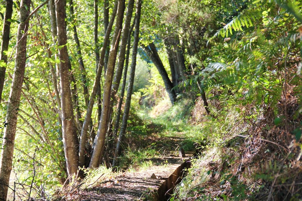 Photo of Others in Fundao