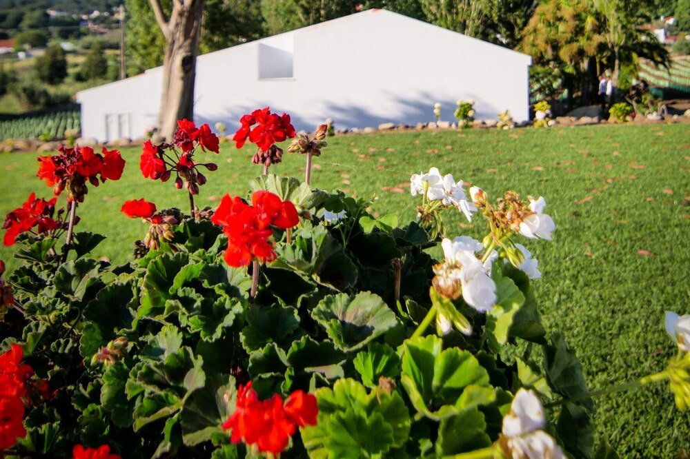 Photo of Outdoor in Banzao