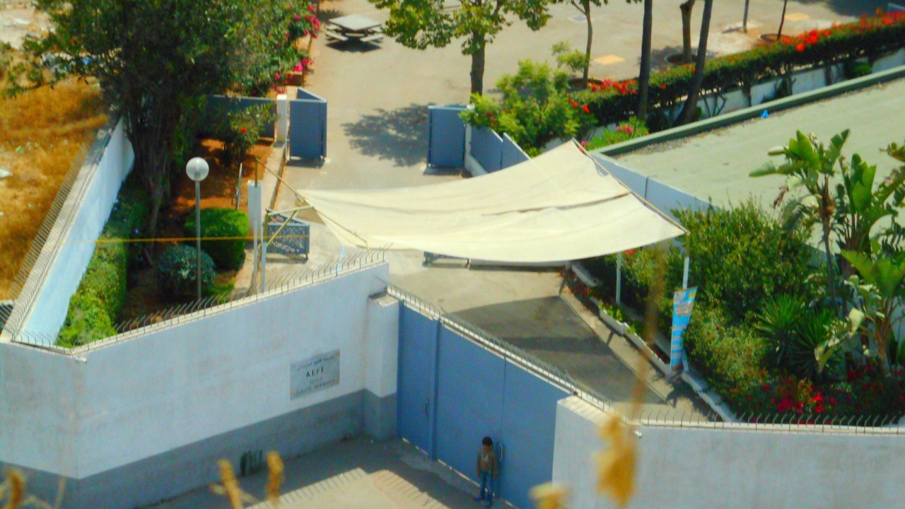 Photo of Others in Belvedere