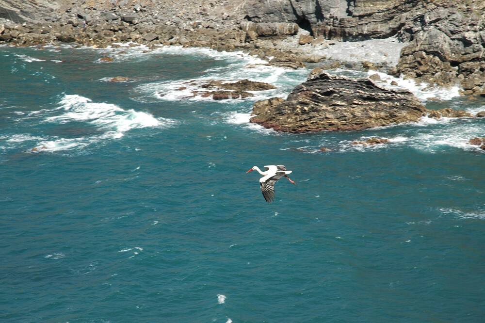 Photo of Others in Zambujeira do Mar