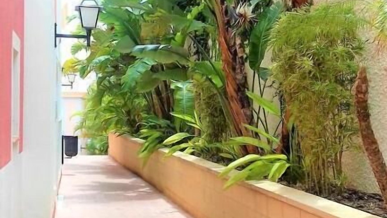 Photo of Outdoor in Hoya de los Patos