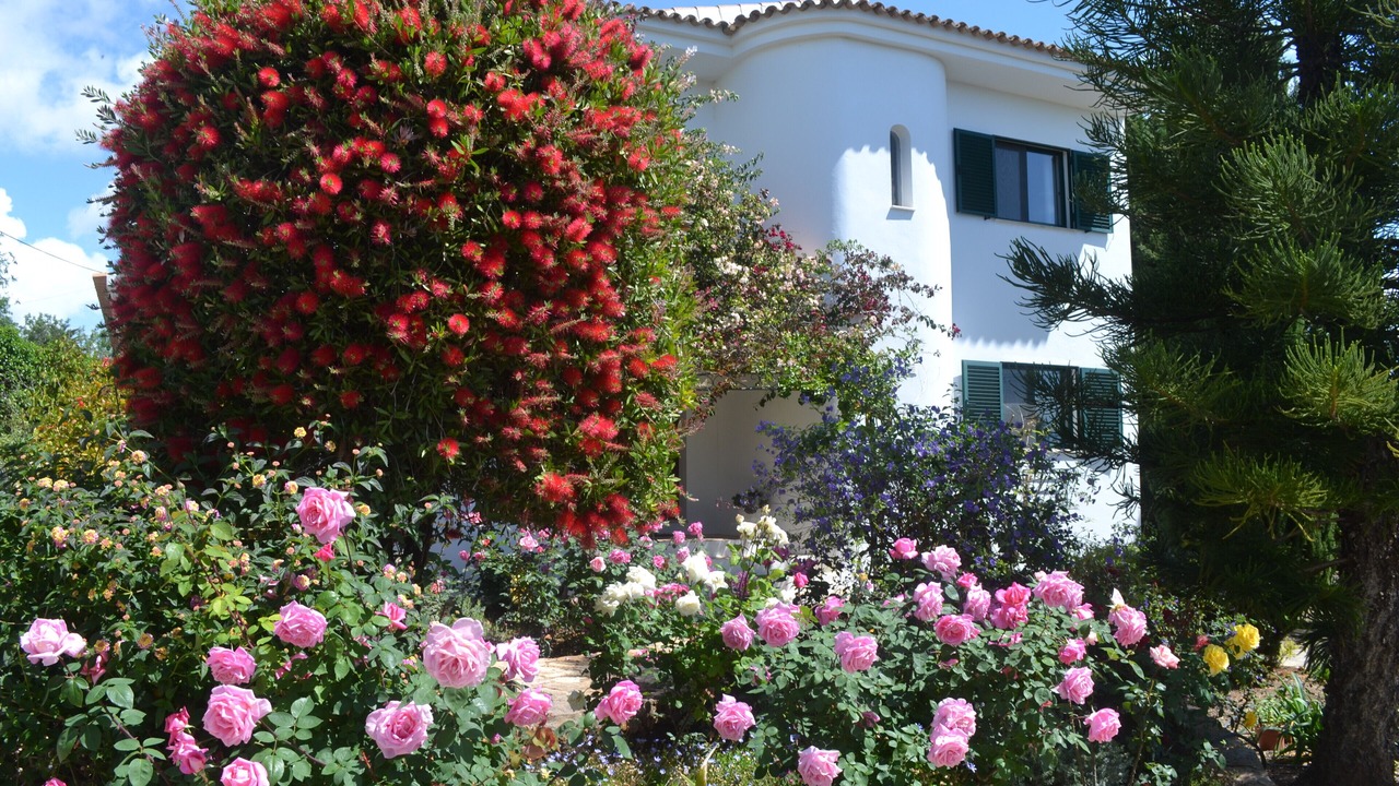 Photo of Outdoor in Quelfes