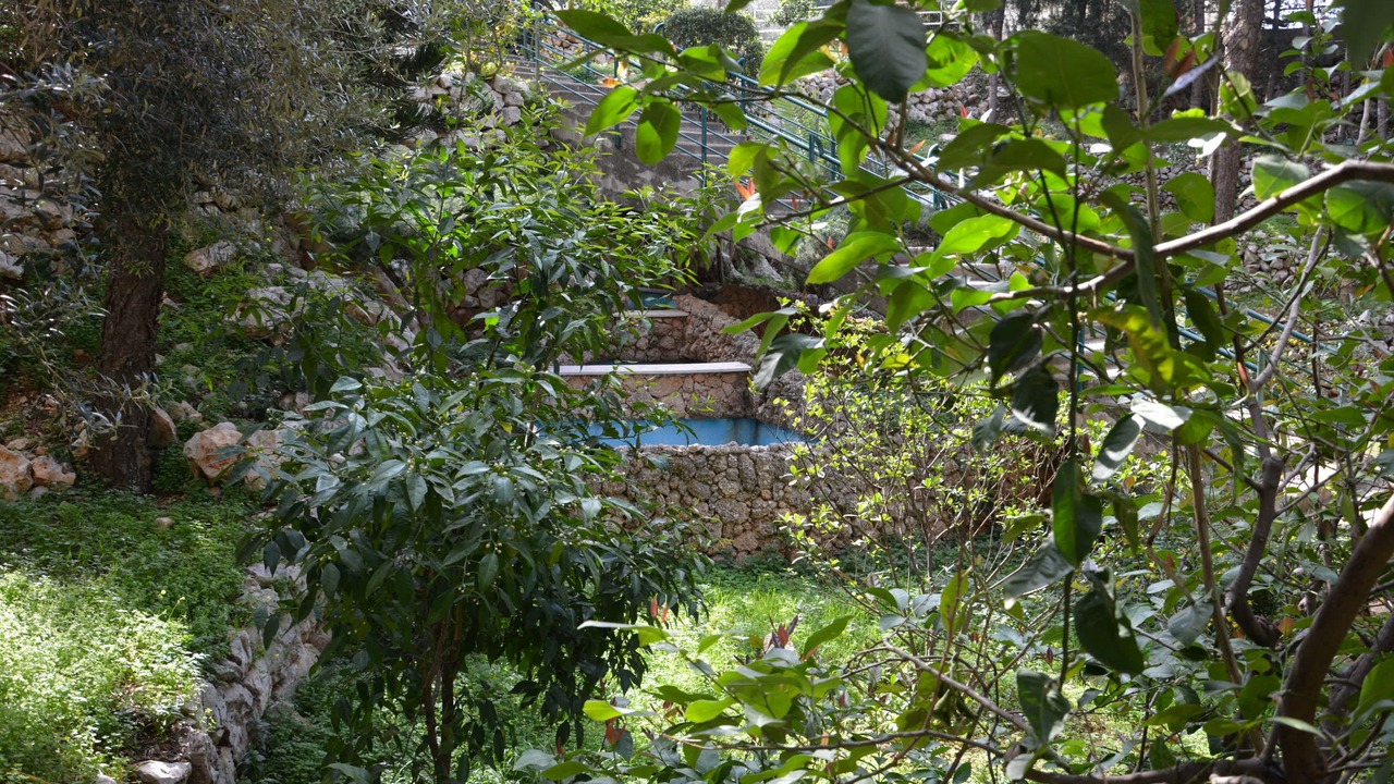 Photo of Outdoor in Beit Mery
