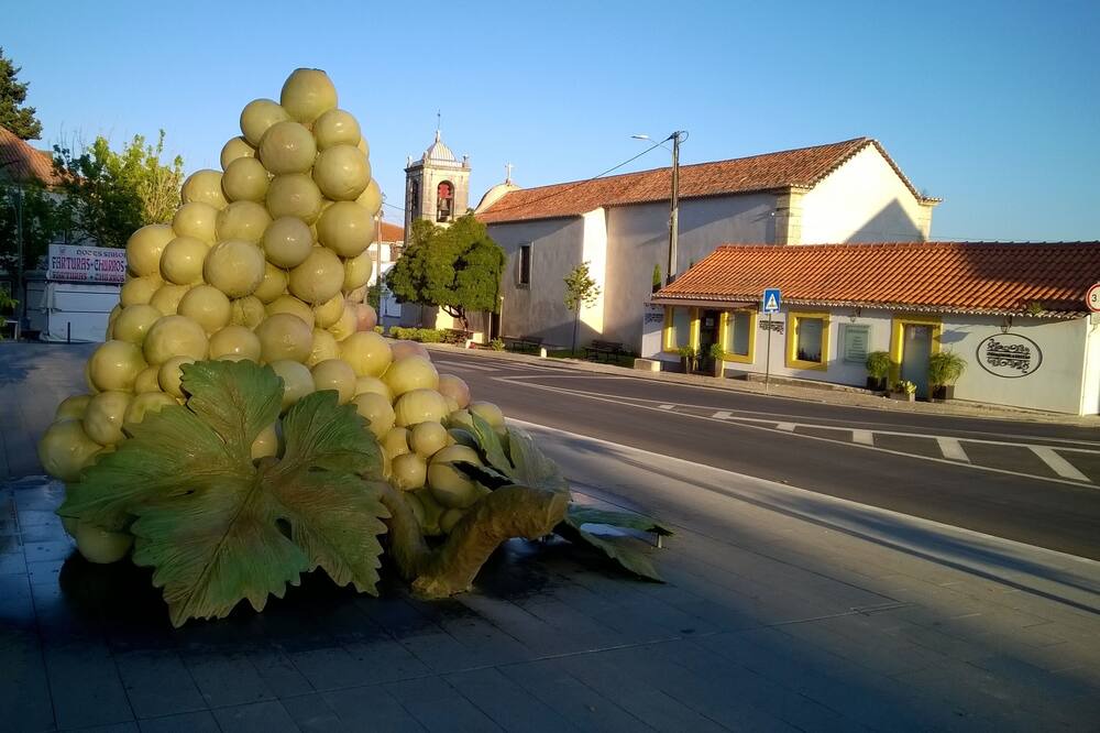 Photo of Outdoor in Vila Nogueira de Azeitao