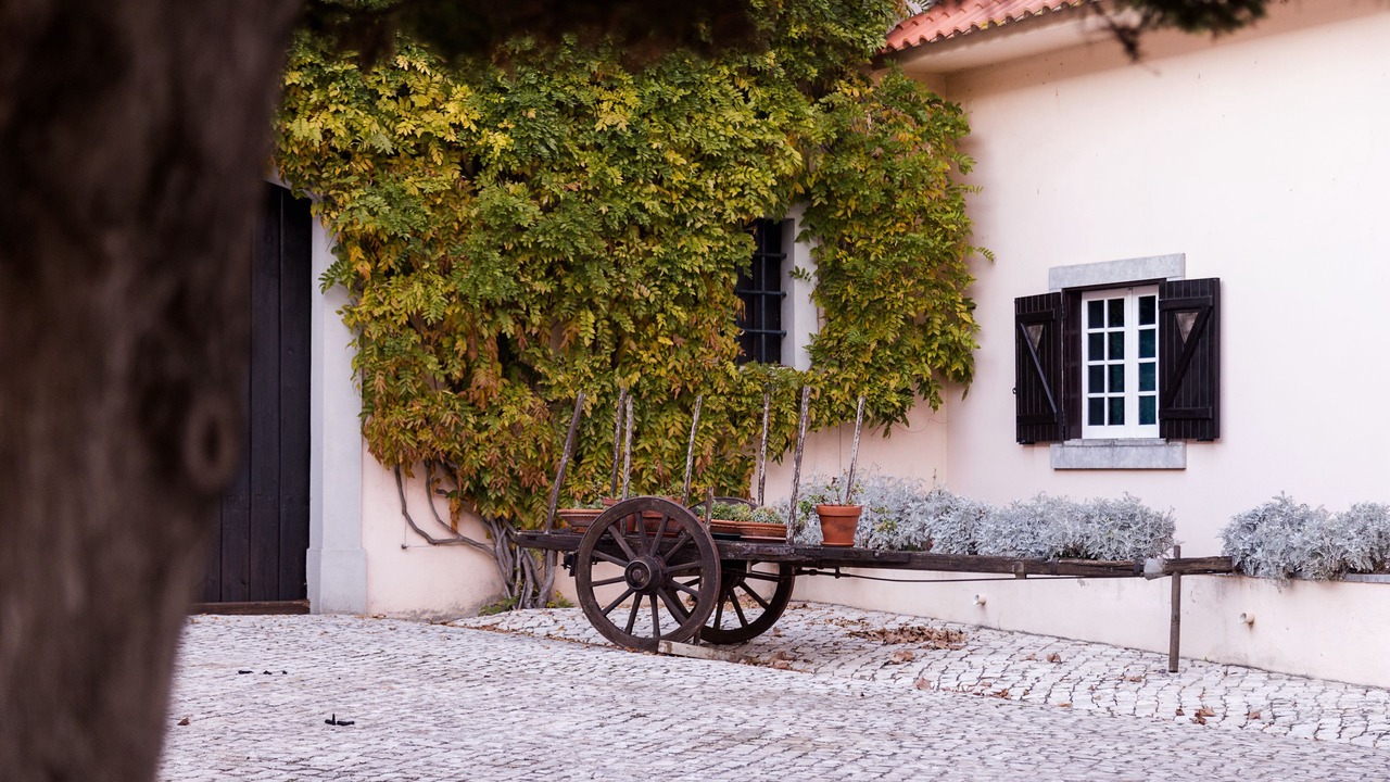 Photo of Outdoor in Triana