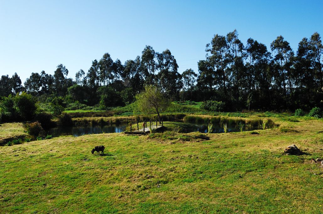 Photo of Outdoor in Zambujeira do Mar