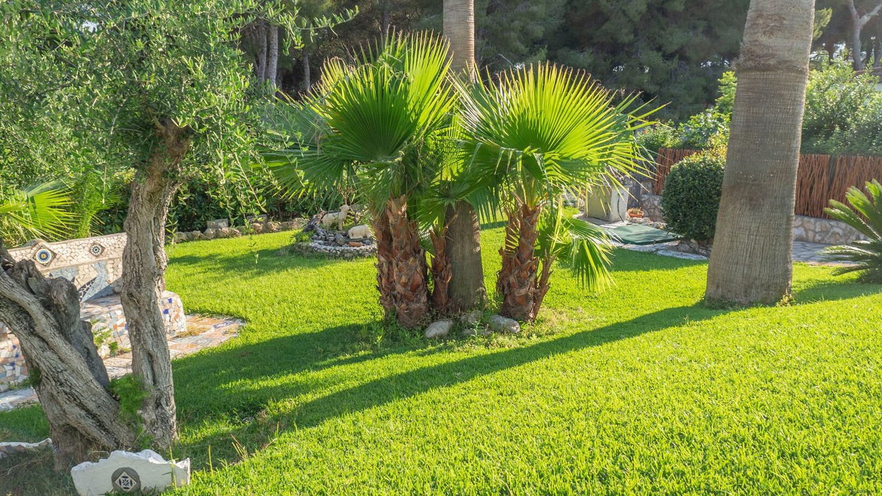 Photo of Outdoor in Cunit
