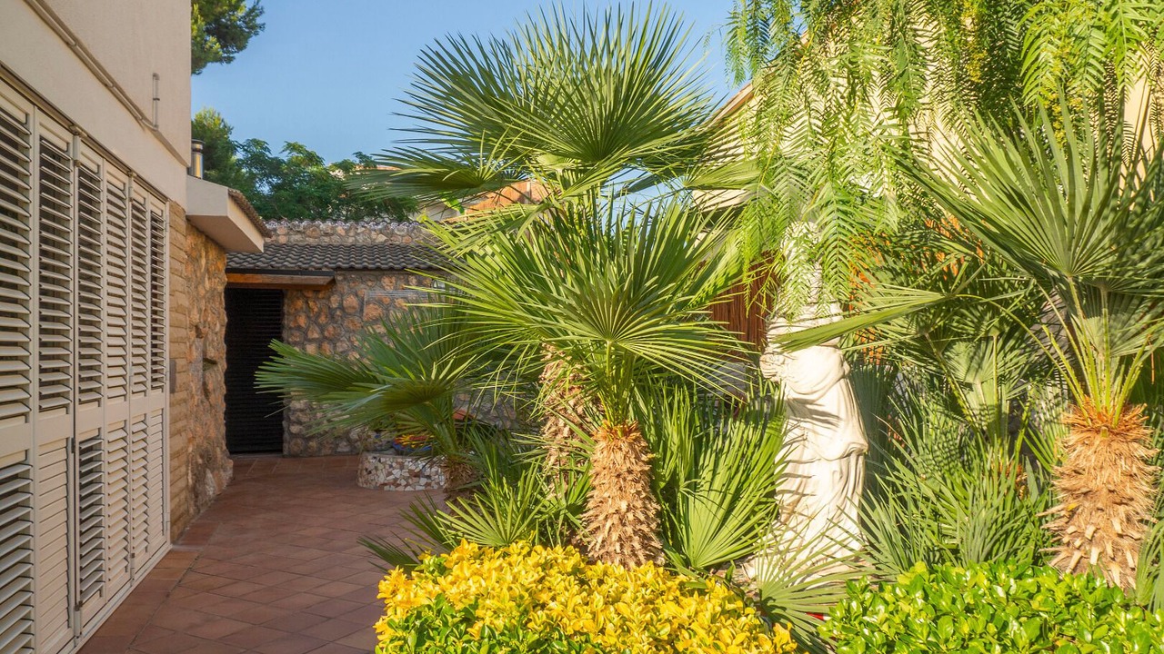 Photo of Outdoor in Cunit