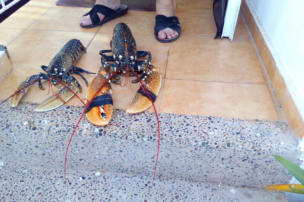 Photo of Outdoor in Sidi Bouzid