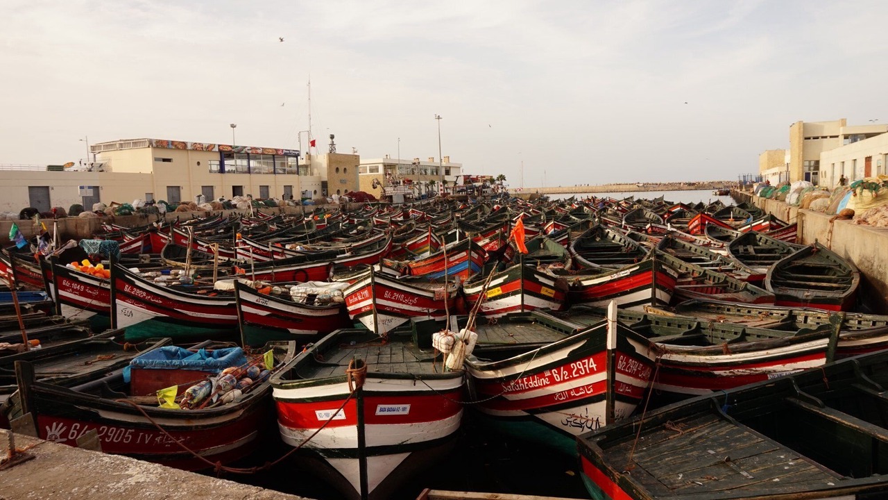 Photo of Outdoor in Sidi Bouzid