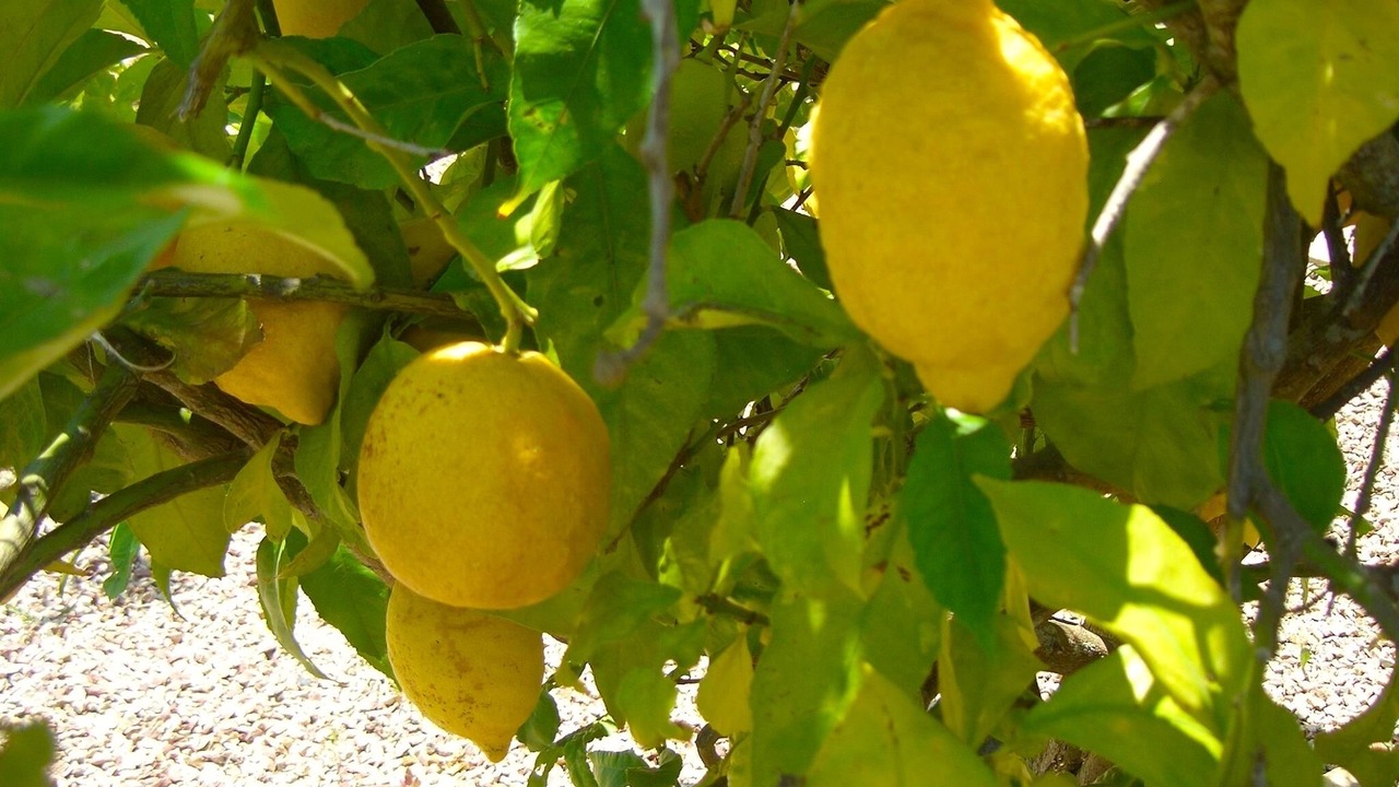Photo of Outdoor in Sao Luis