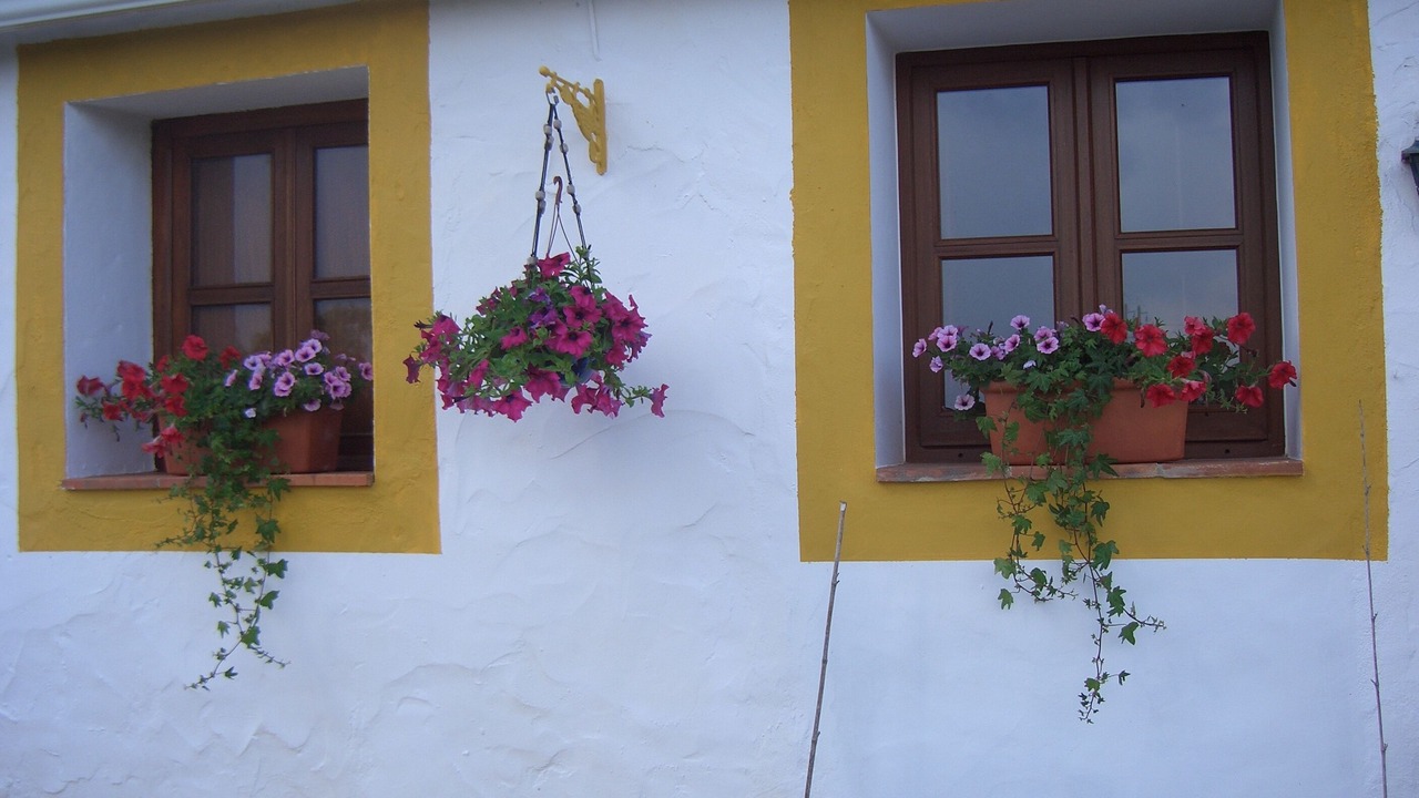 Photo of Outdoor in Sao Luis