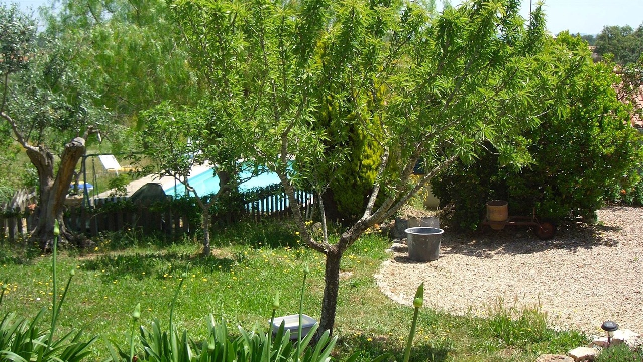 Photo of Outdoor in Sao Luis