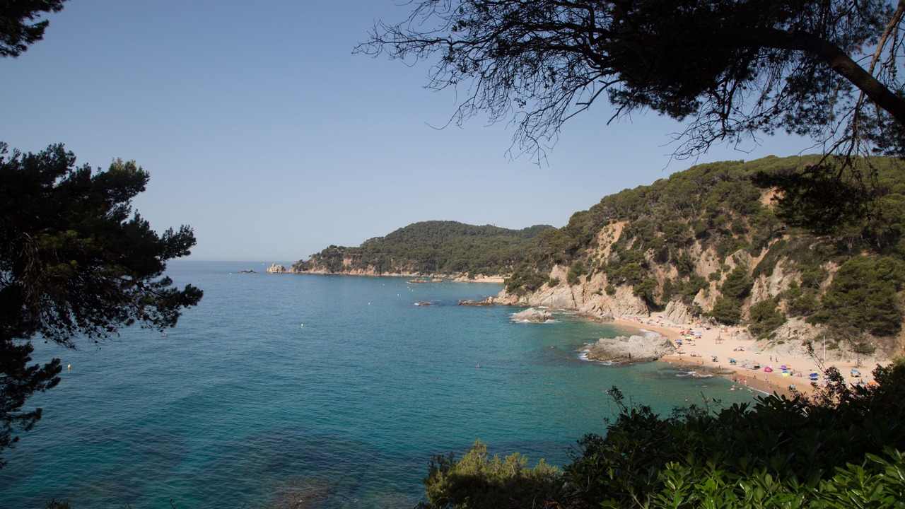 Photo of Others in Lloret Town Center