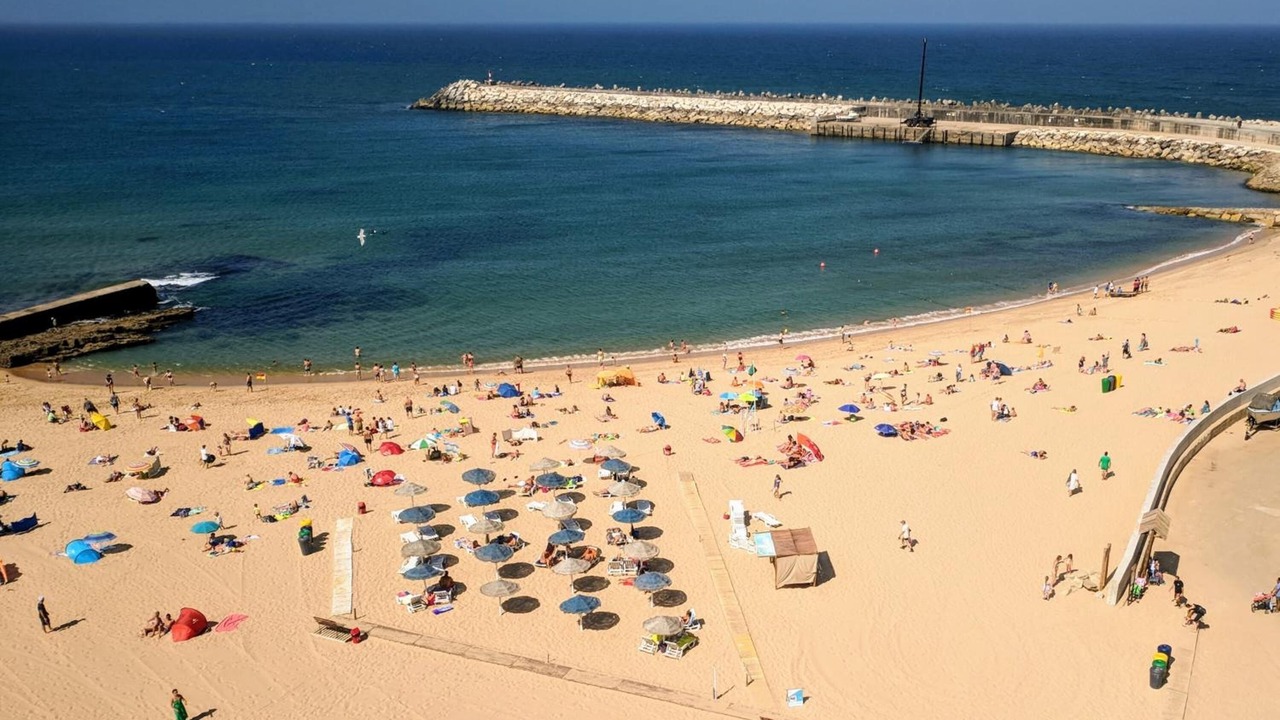 Photo of Others in Mafra