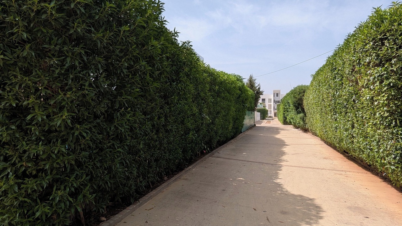Photo of Outdoor in Dar Bouazza