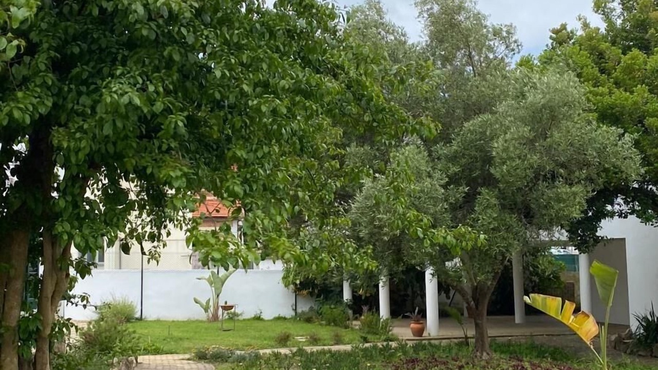 Photo of Outdoor in Eugaria
