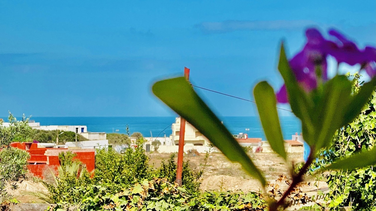 Photo of Outdoor in Tamariss