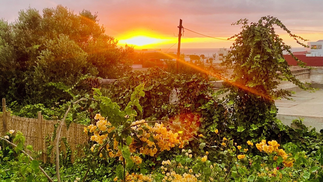 Photo of Outdoor in Tamariss