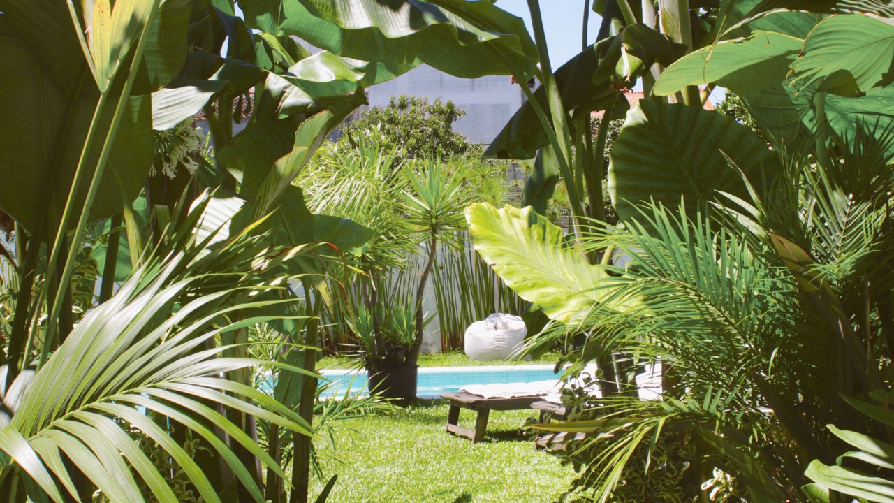 Photo of Outdoor in Charneca de Caparica e Sobreda