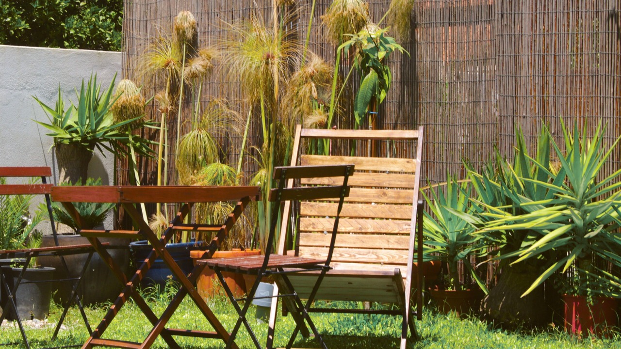 Photo of Outdoor in Charneca de Caparica e Sobreda