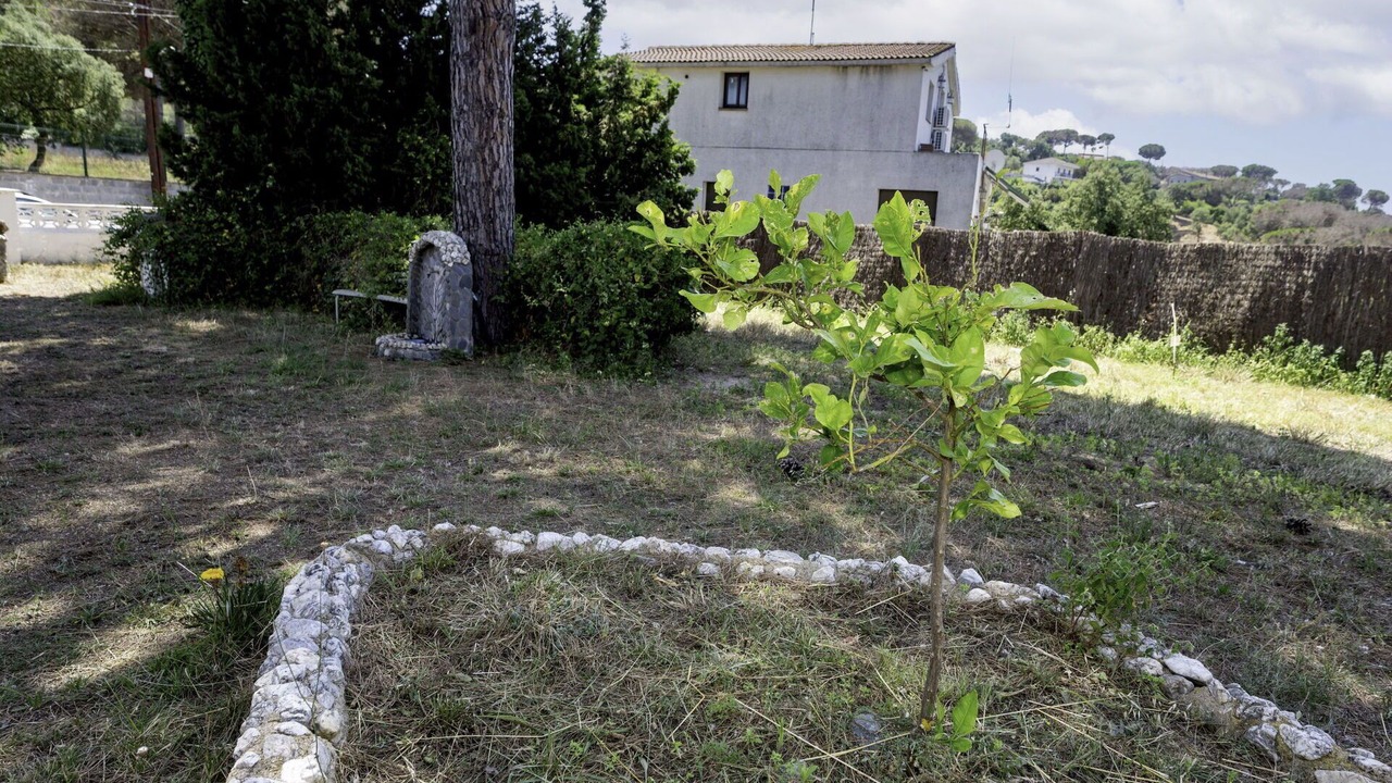Photo of Outdoor in Mas Altaba